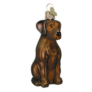 Old World Christmas Labrador Retriever-Chocolate - No Box