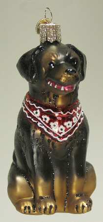 Animals Rottweiler - No Box