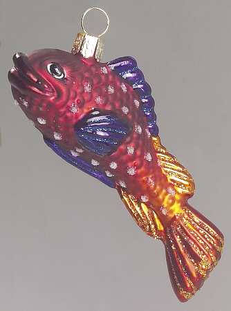 Fish and Marine Life Caribbean Royal Gamma - No Box