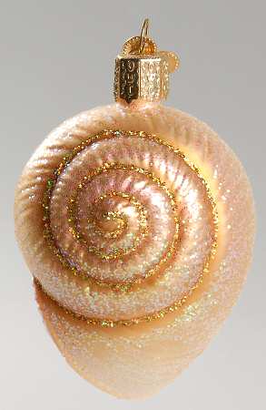 Fish and Marine Life Spiral Shell - No Box