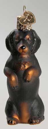 Animals Dachshund-Sitting Up - No Box