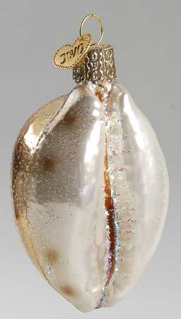 Fish and Marine Life Cowrie Shell - No Box by Old World Christmas (Newer)