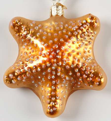 Fish and Marine Life Starfish - Orange Front - No Box