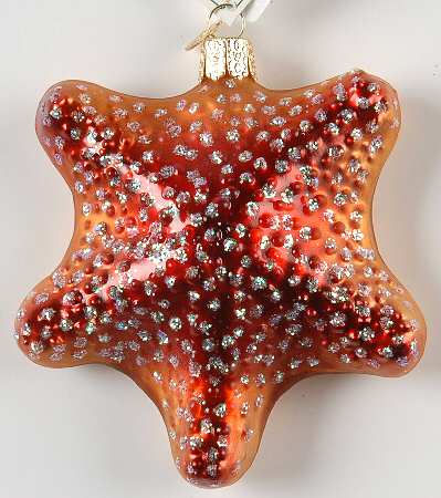 Old World Christmas Starfish Red Front - No Box Nb1846