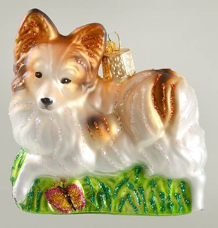 Old World Christmas Playful Papillon - No Box Nb2554
