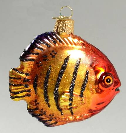 Old World Christmas Flame Angel Fish - No Box Nb1721
