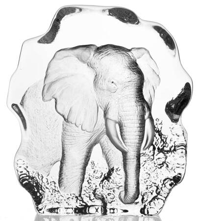 Tropical Animals Elephant - No Box
