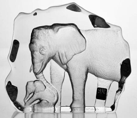 Tropical Animals Elephant With Calf - No Box