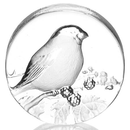 Birds Bird With Berries - No Box