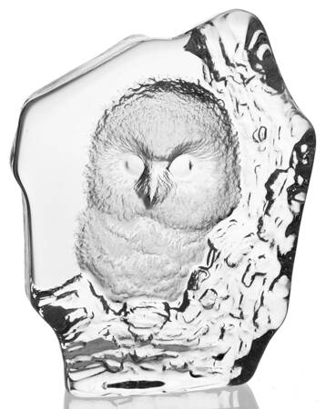 Birds Baby Owl - No Box