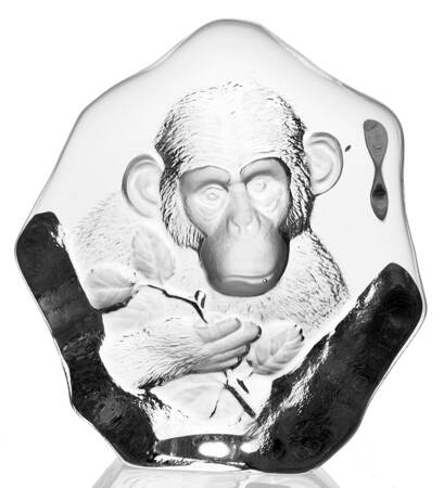 Tropical Animals Chimpanzee - No Box