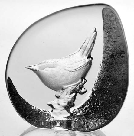 Birds Wren - No Box