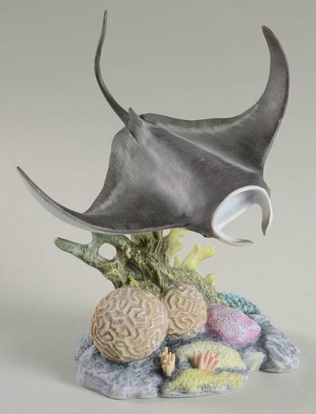 Wonders of the Sea Manta Ray - Boxed