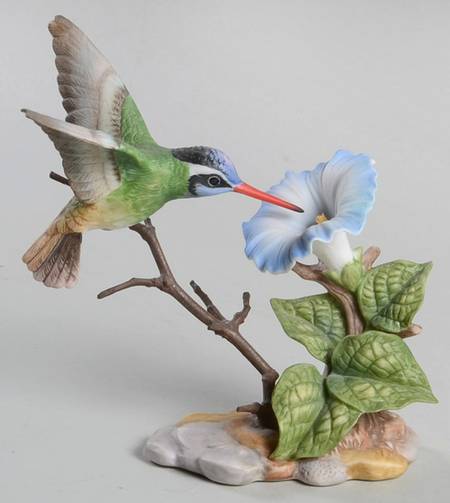 Hummingbirds White-Eared W/ Morning Glory - Boxed