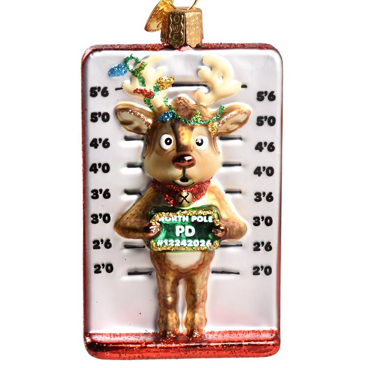 Animals Reindeer Mugshot - Nb744, No Box
