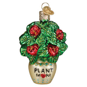 Flowers & Plants Plant Mom - No Box
