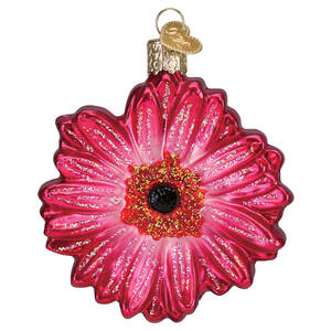Flowers & Plants Gerbera Daisy - No Box