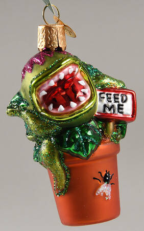 Flowers & Plants Venus Fly Trap - No Box