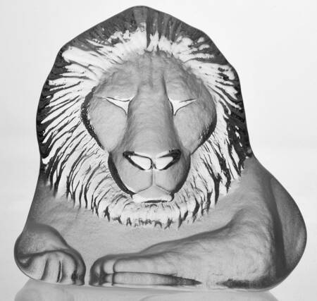 Tropical Animals Lion - No Box