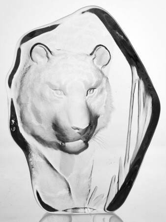 Tropical Animals Tiger - No Box