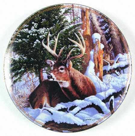Portraits of the Wilderness by N. A. Hunting Club
