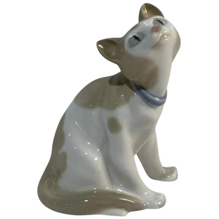 Cats and Dogs Cat-Head Up - Boxed
