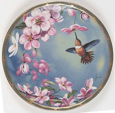 Gems of Nature: The Beautiful Hummingbirds Rufous And Apple Blossoms - Boxed