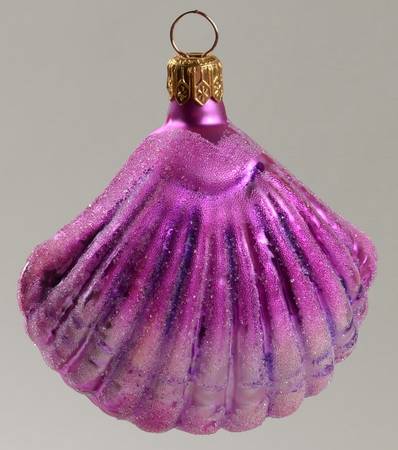 Aquatic Sea Shells-Purple - No Box