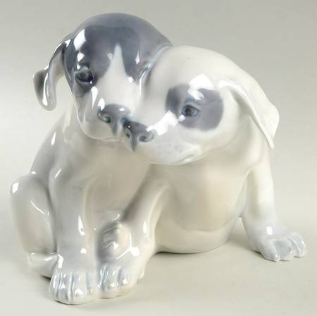 Dogs Pointer Puppies - No Box