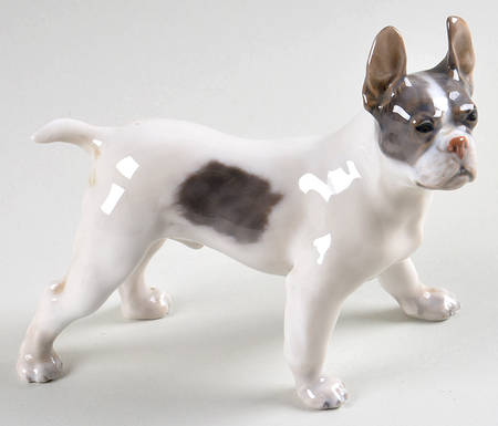 Dogs Boston Terrier - No Box