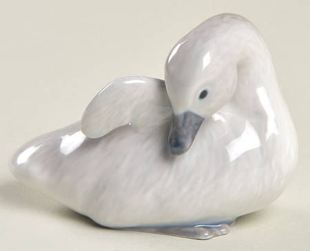Birds Cygnet With Raised Wing - No Box