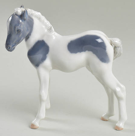 Animals-Farm and Domestic Foal Standing - No Box