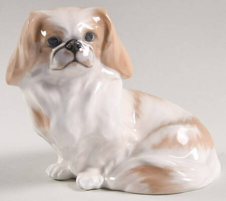 Dogs Pekingese Sitting - No Box