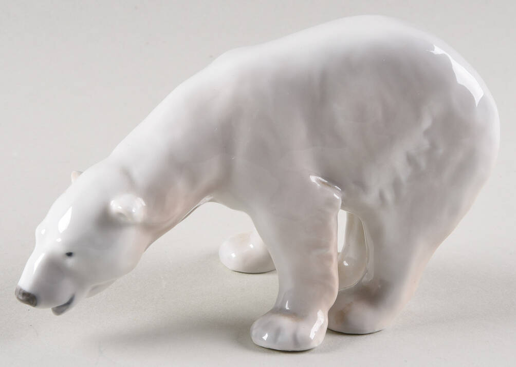 Animals-Wildlife Polar Bear Feeding - No Box