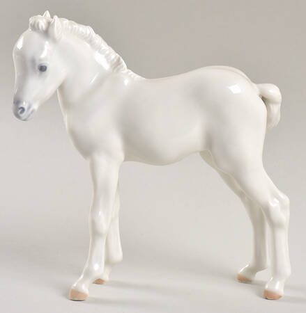 Animals-Farm and Domestic Foal Standing-All White - No Box