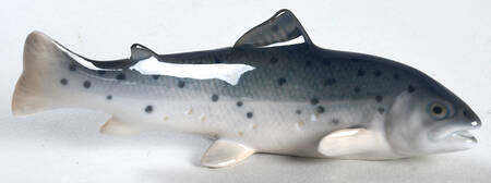 Animals-Aquatic Trout - No Box