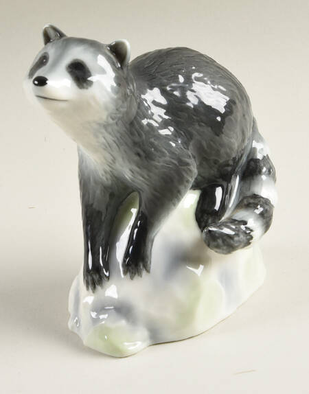 Animals-Other Racoon On Rock - No Box
