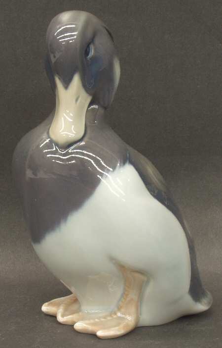 Birds Tufted Duck - No Box