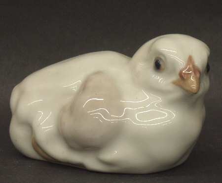 Birds Chicken Squatting - No Box
