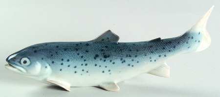 Animals-Aquatic Rainbow Trout - No Box