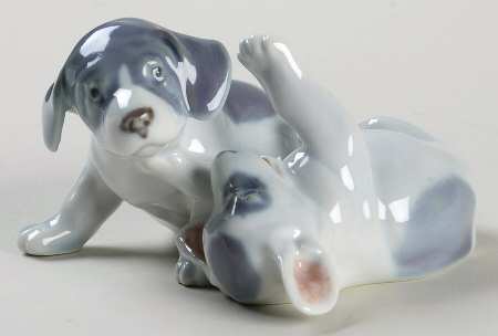 Dogs Pointer Puppies Playing - No Box