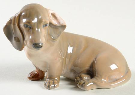 Dogs Dachshund Sitting - No Box
