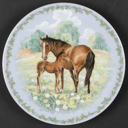Nature's Children The Colt - Boxed