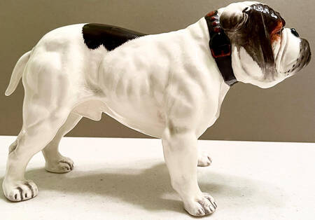 Animals Bulldog Large -Standing - With Box Bx1307