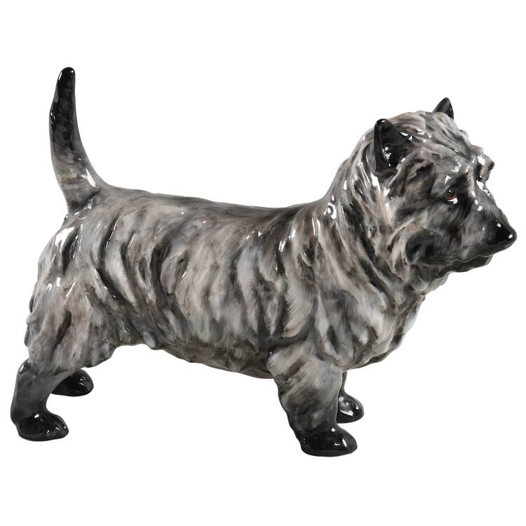 Animals Cairn Ch.'Charming Eyes - No Box