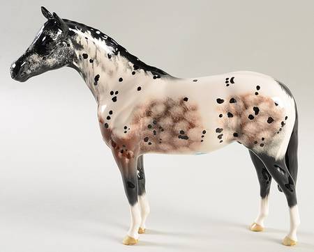 Animals Appaloosa - Boxed