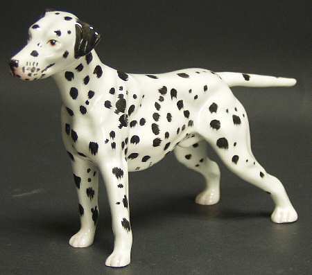Animals Dalmatian - Boxed