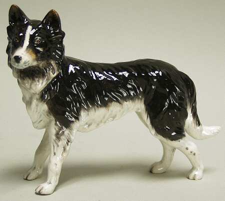 Animals Border Collie - Boxed