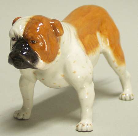 Animals Bulldog - Boxed
