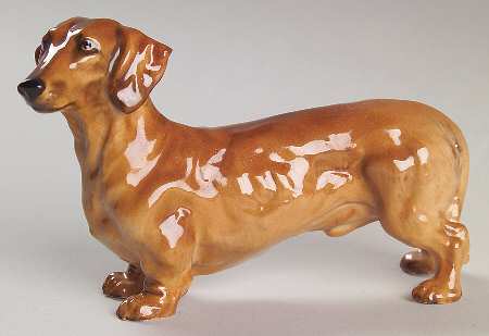 Animals Dachshund - Boxed